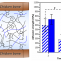 Biocompatible and bioadhesive low molecular weight polymers containing long-arm catechol-functionalized methacrylate