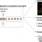 Generación de microgeles de quitosano por microfluídica usando glicerilfitato como agente entrecruzante para la encapsulación in situ de células madre mesenquimales humanas