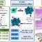 Modulation of Inflammatory Mediators by Polymeric Nanoparticles Loaded with Anti-Inflammatory Drugs