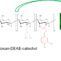 DEAE/Catechol-Chitosan Conjugates as Bioactive Polymers: Synthesis, Characterization, and Potential Applications
