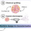 Diseño y síntesis de micro-partículas basadas en celulosa bacteriana y polihidroxibutirato para la encapsulación de agentes microbianos mediante tecnología de electrospray coaxial